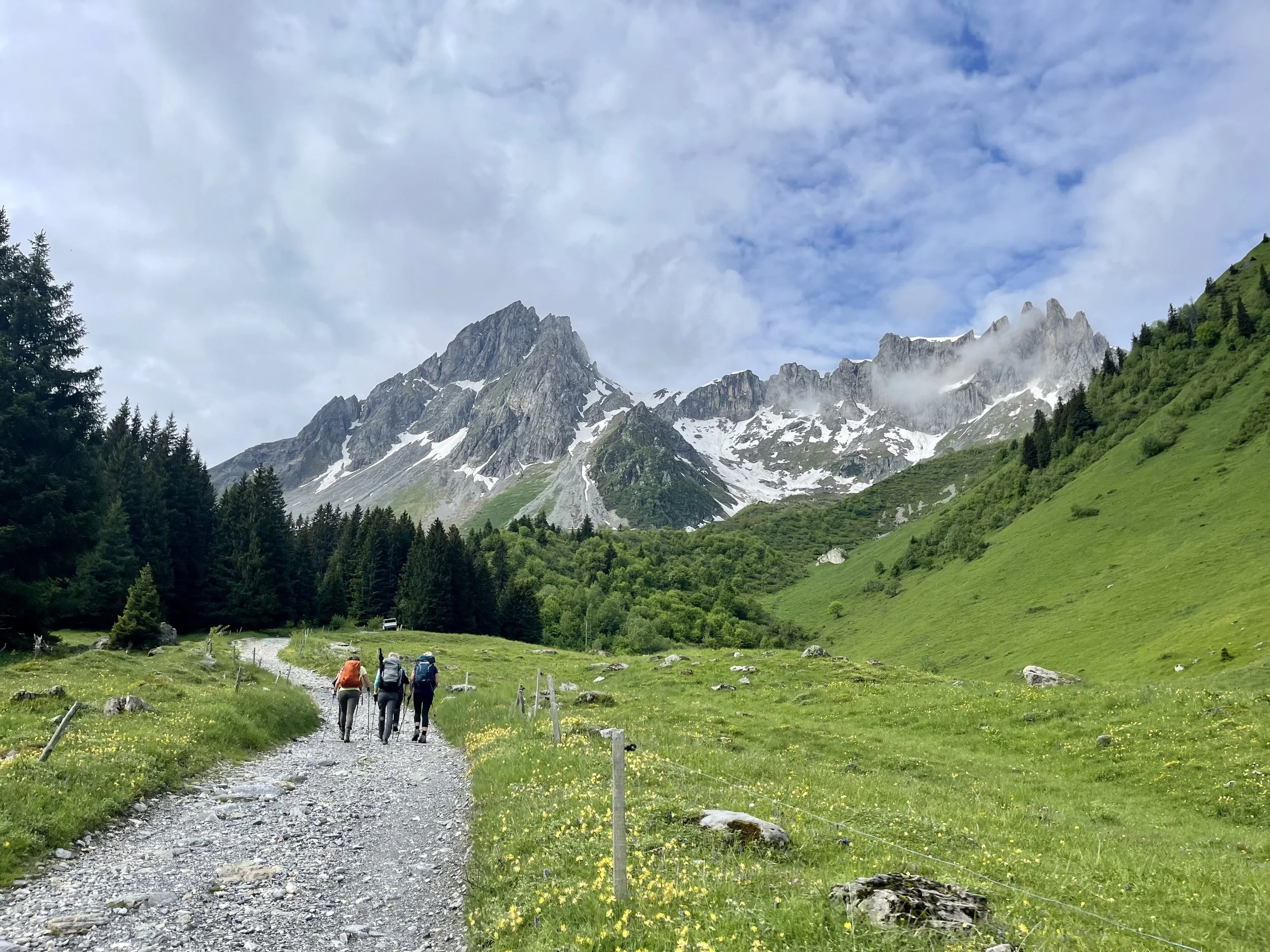 Tour du Mont Blanc WHOA TMB6.jpeg
