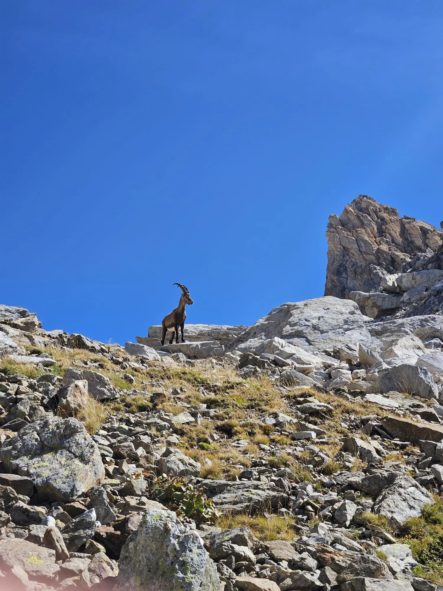 Tour du Mont Blanc WHOA TMB27.jpg