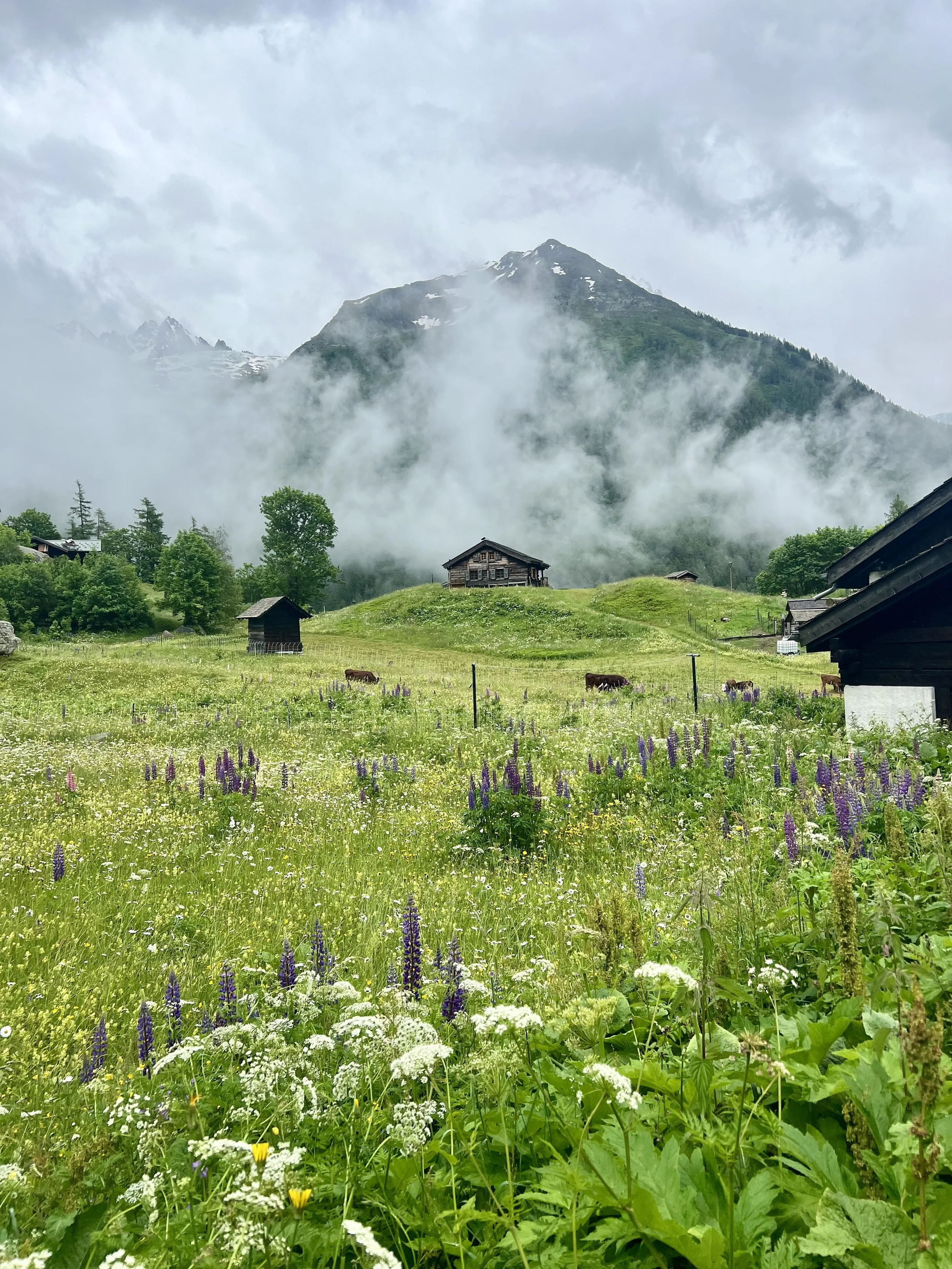 Tour du Mont Blanc WHOA TMB29.jpeg