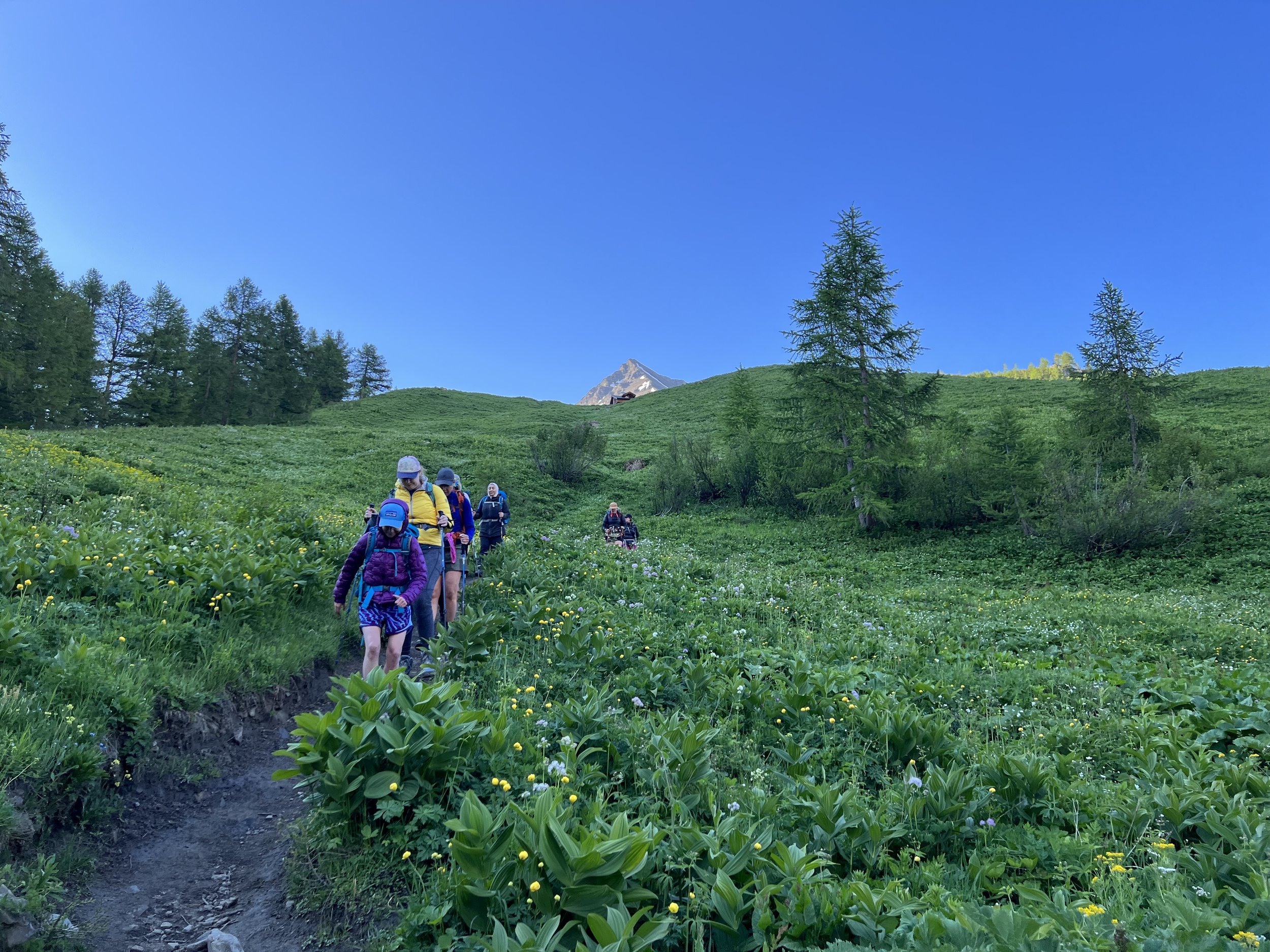 Tour du Mont Blanc WHOA TMB38.jpeg