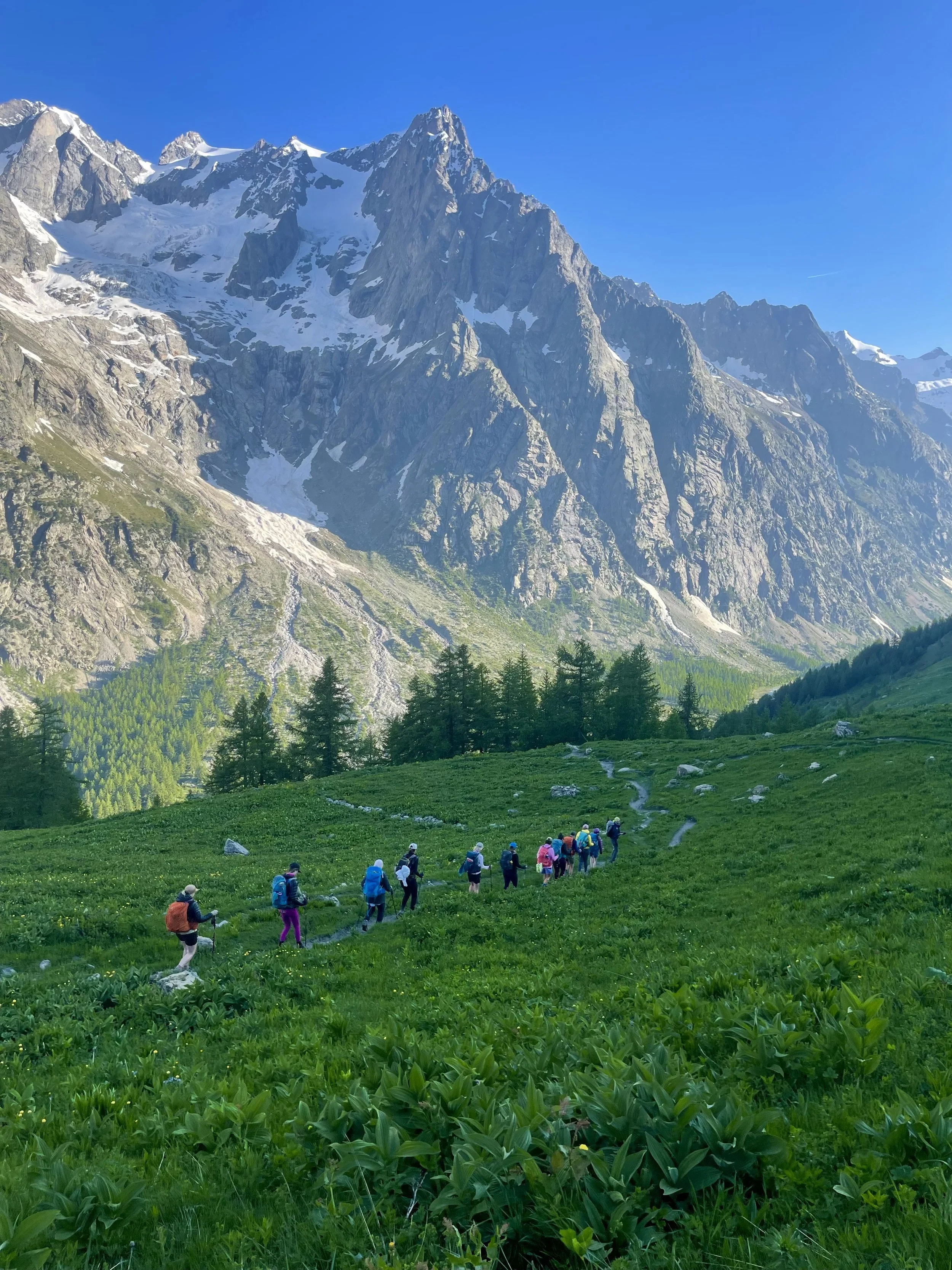 Tour du Mont Blanc WHOA TMB45.jpeg