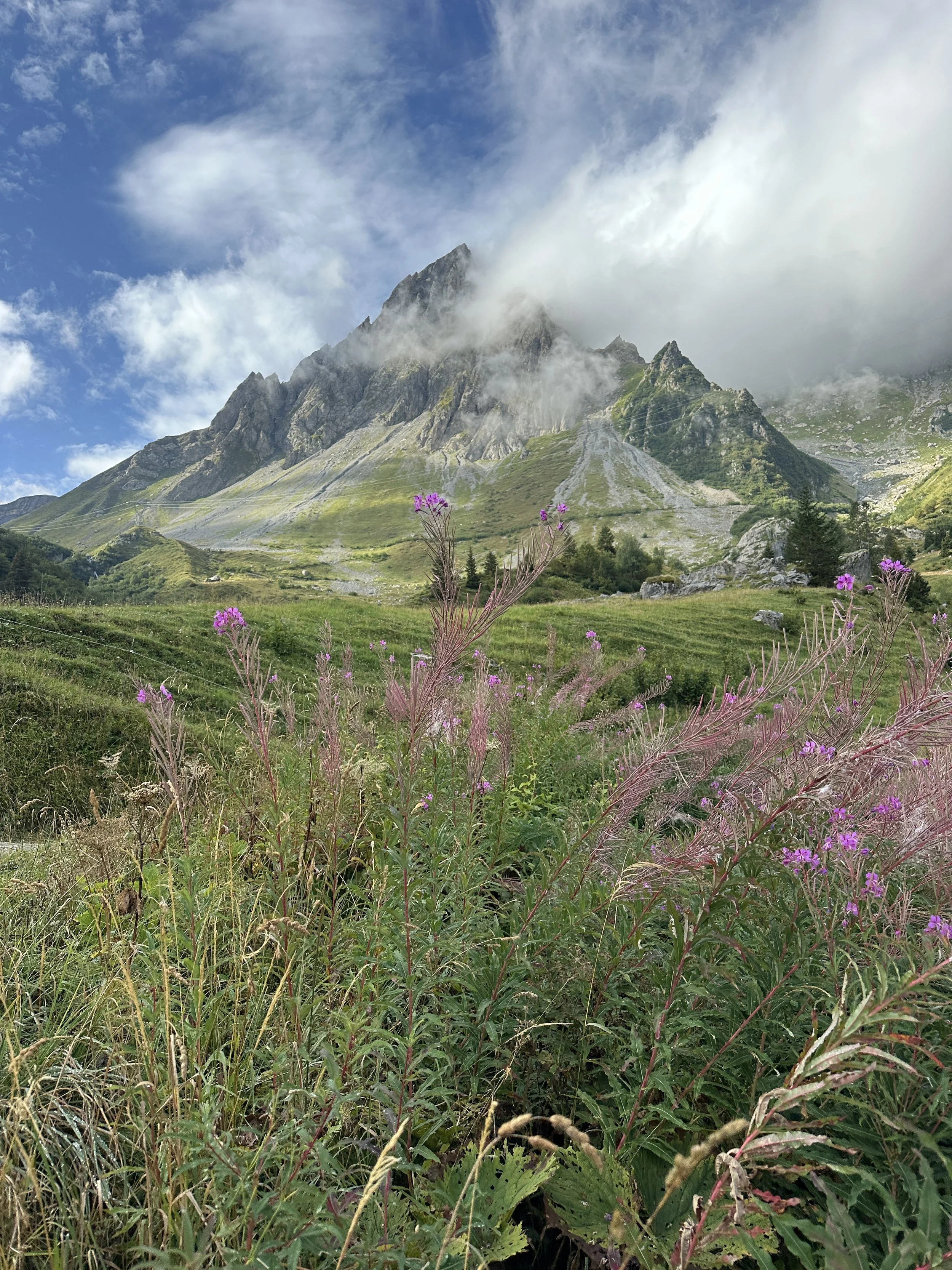 Tour du Mont Blanc WHOA TMB48.JPG