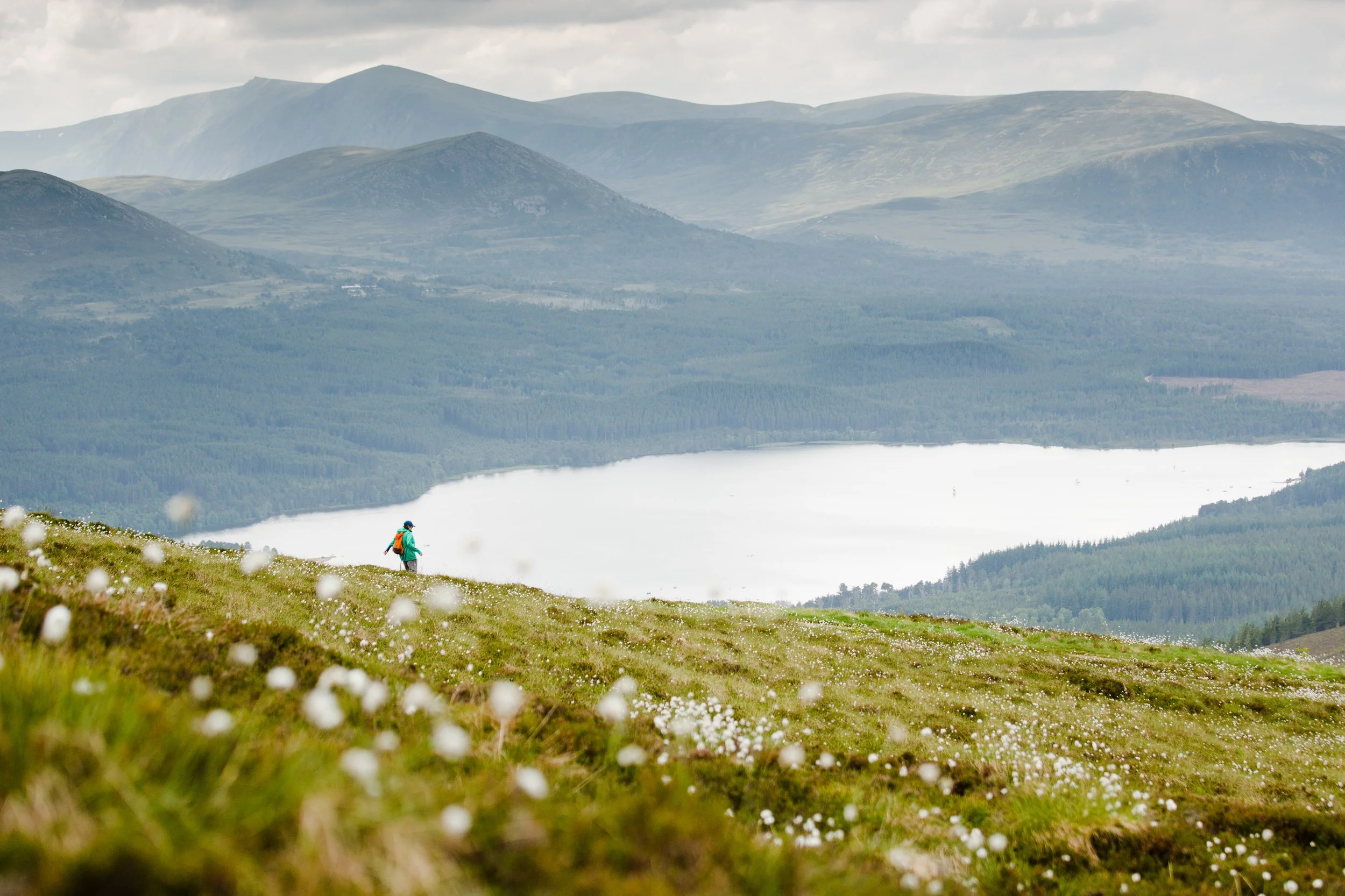 Scotland WHOA travel Wilderness39.jpg