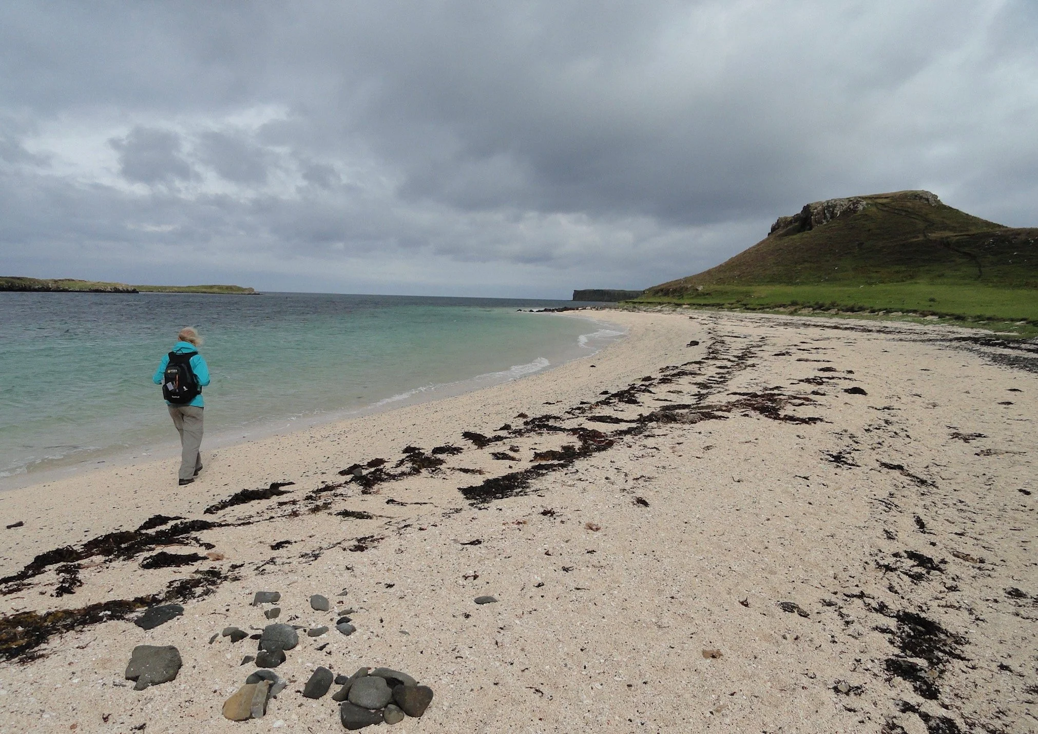 D2 - Coral beach .jpg