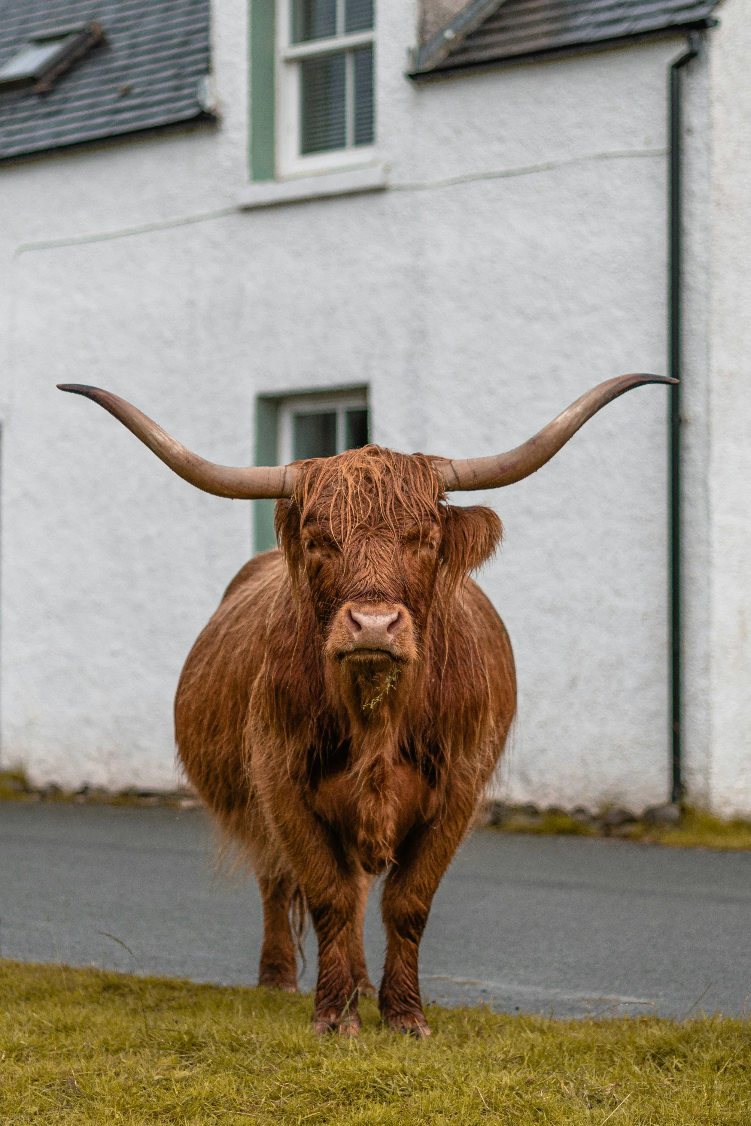Scotland WHOA Wilderness Writer's Retreat7.jpg