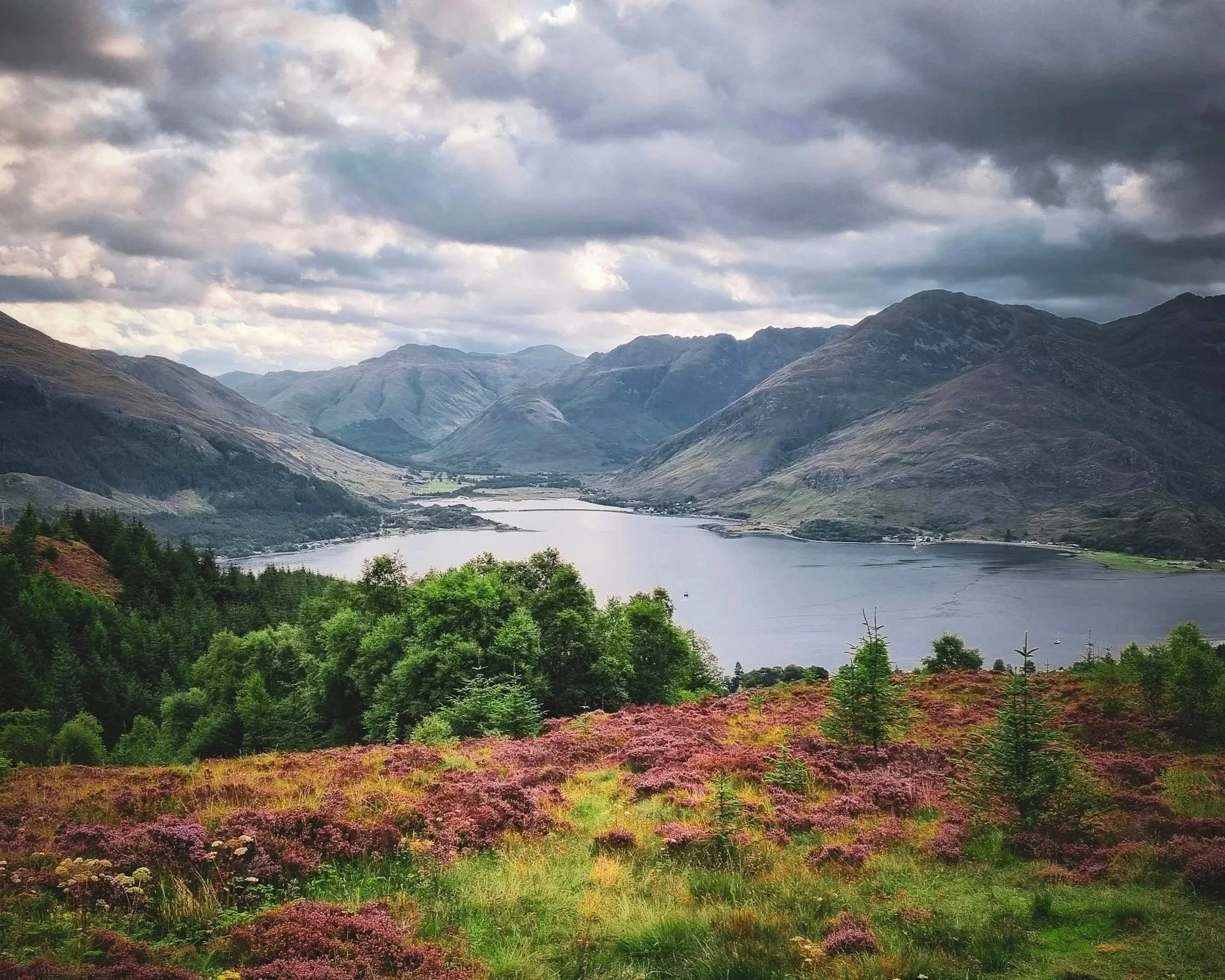 WHOA plus Scotland Highlands