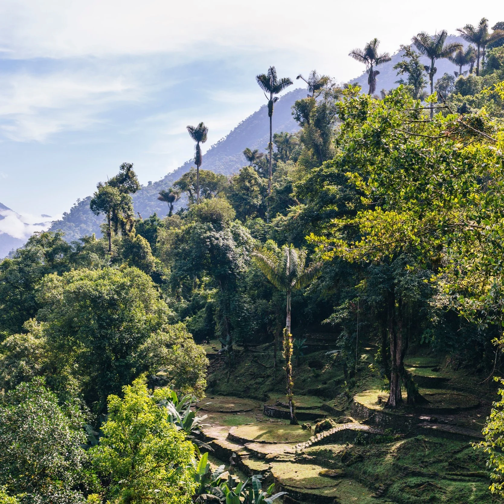 Colombia Lost City Adventure