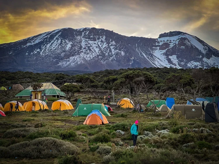 KILIMANJARO_WHOA_TRAVEL_CAMP.webp