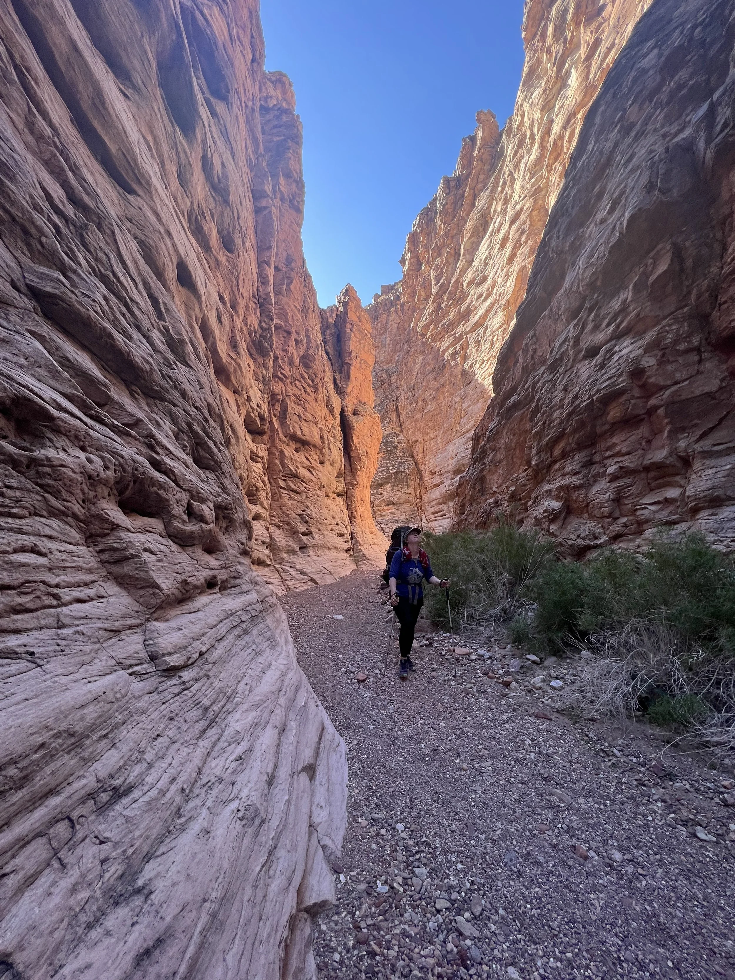 The Grand Canyon