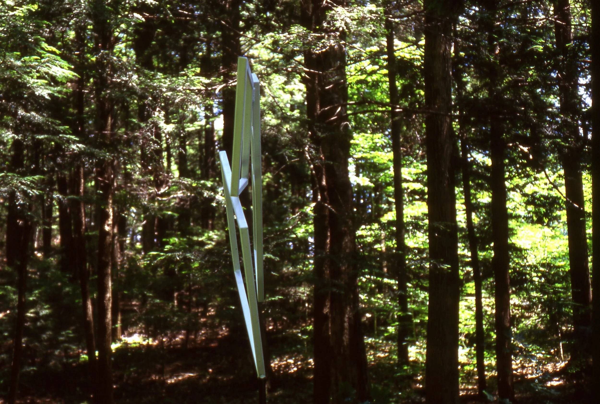 6. ICARUS side.jpg
