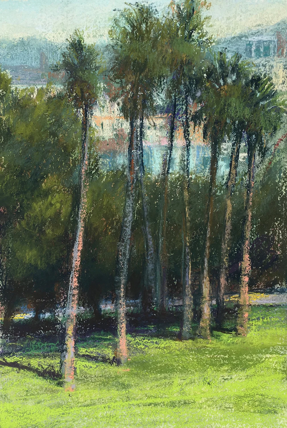 Palms, Mission Dolores Park, SF