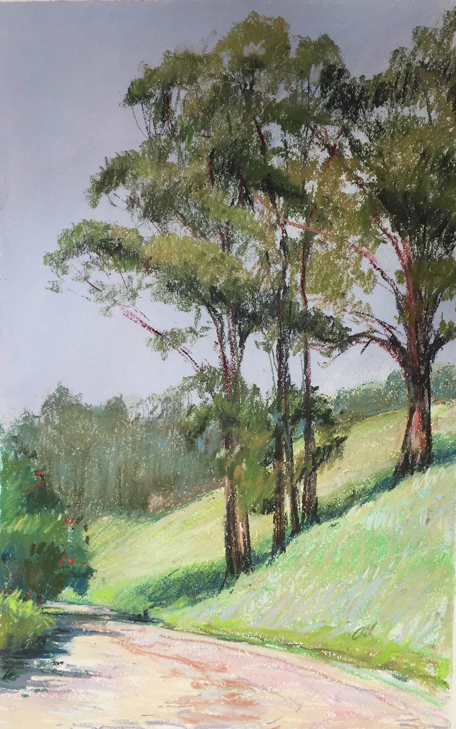 Glen Canyon Park, SF