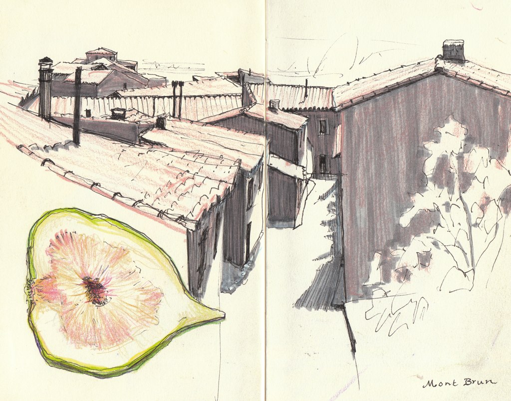 France, Rooftop and Fig