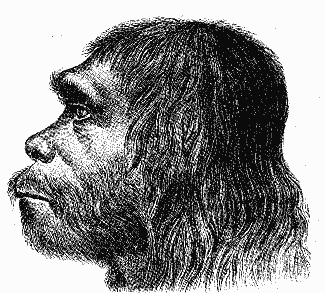 “I like crisps,” says the fictional caveman.