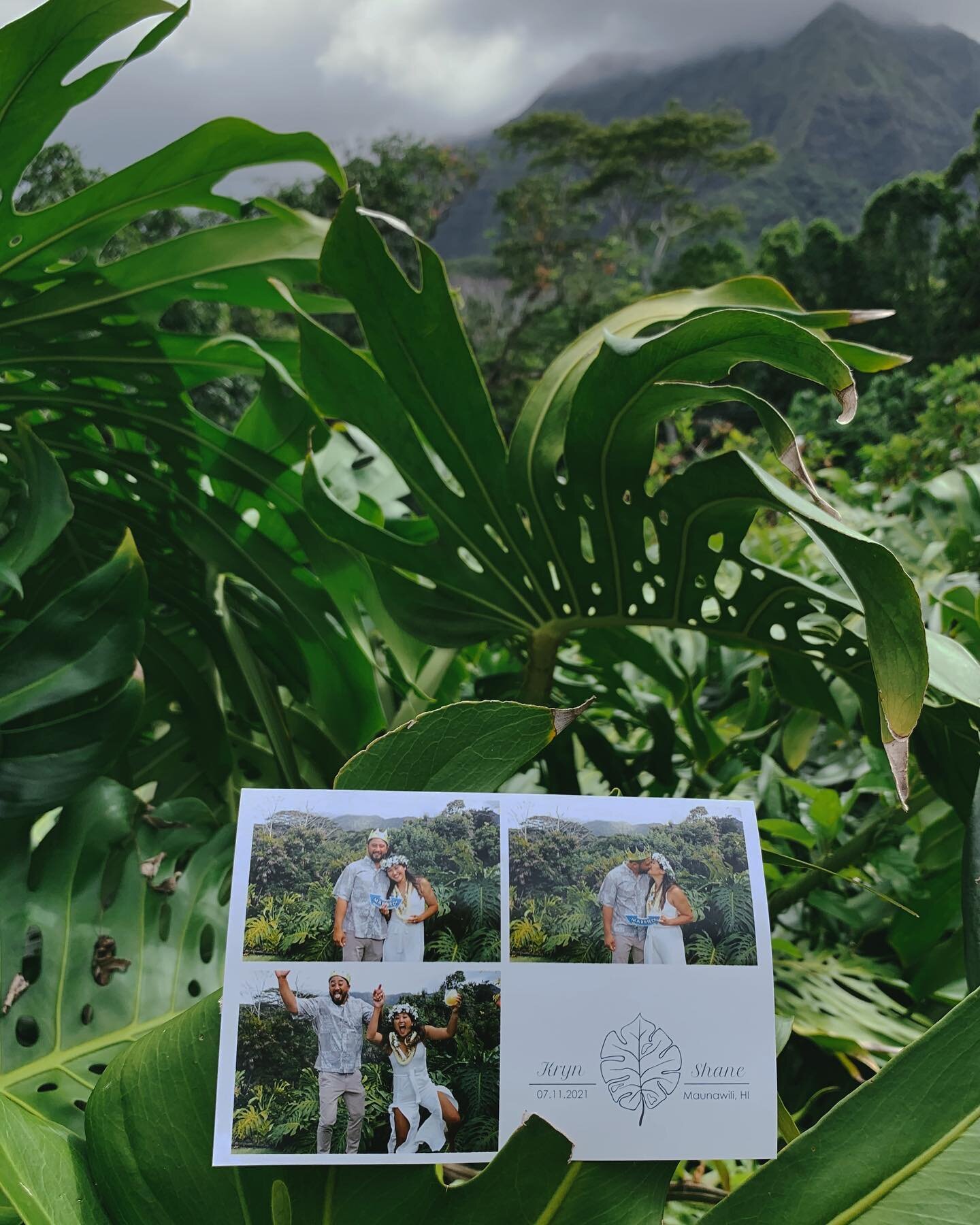We love using nature as the backdrop.  Mahalo to Kryn and Shane for having us be a part of their special day!