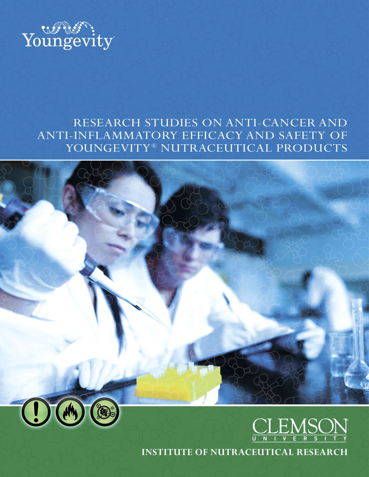 Clemson-Report_brochure-0113-6pgs.jpg