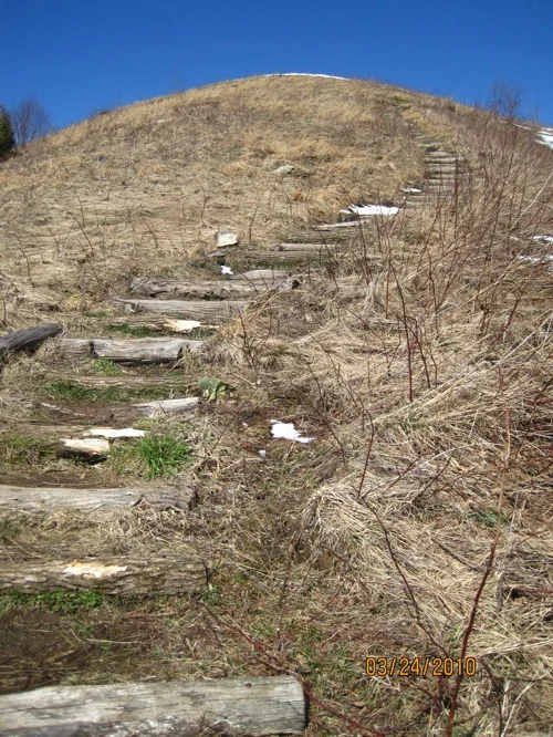 Steps.jpg