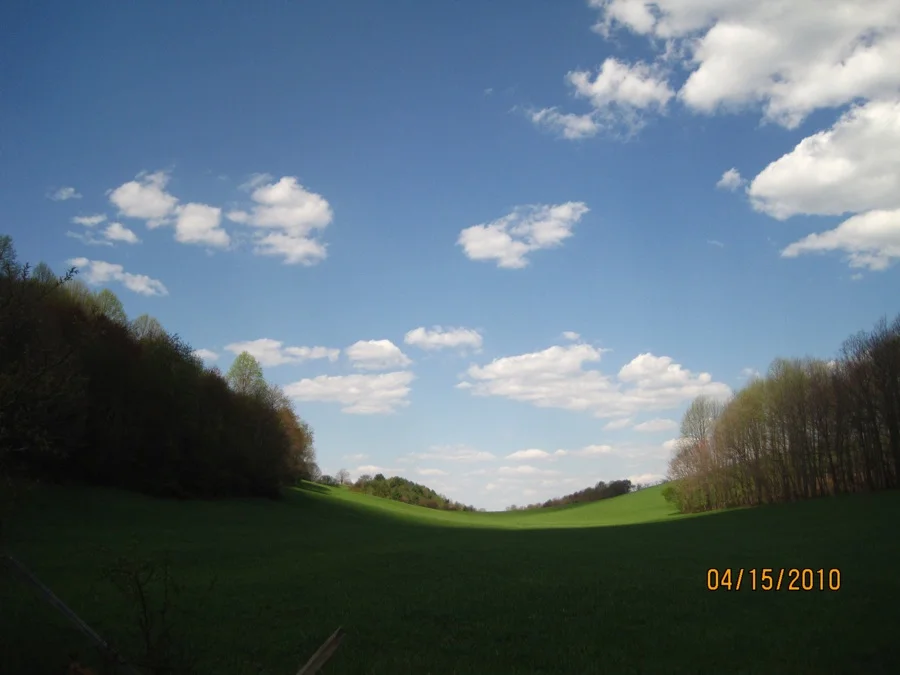 Field.jpg