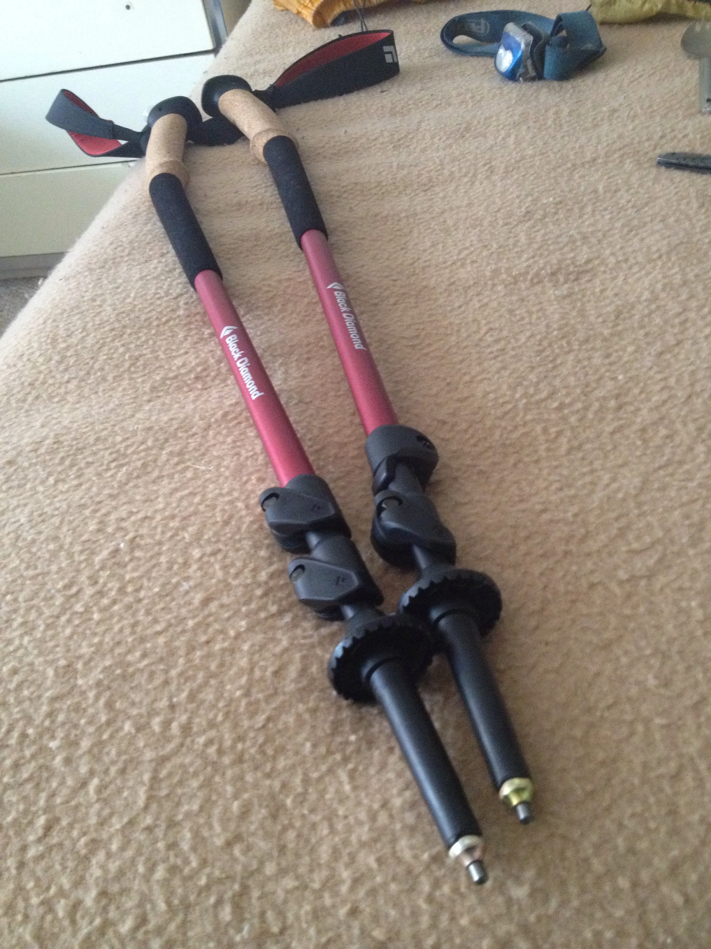 Black Diamond Trail Ergo Cork Trekking Poles.