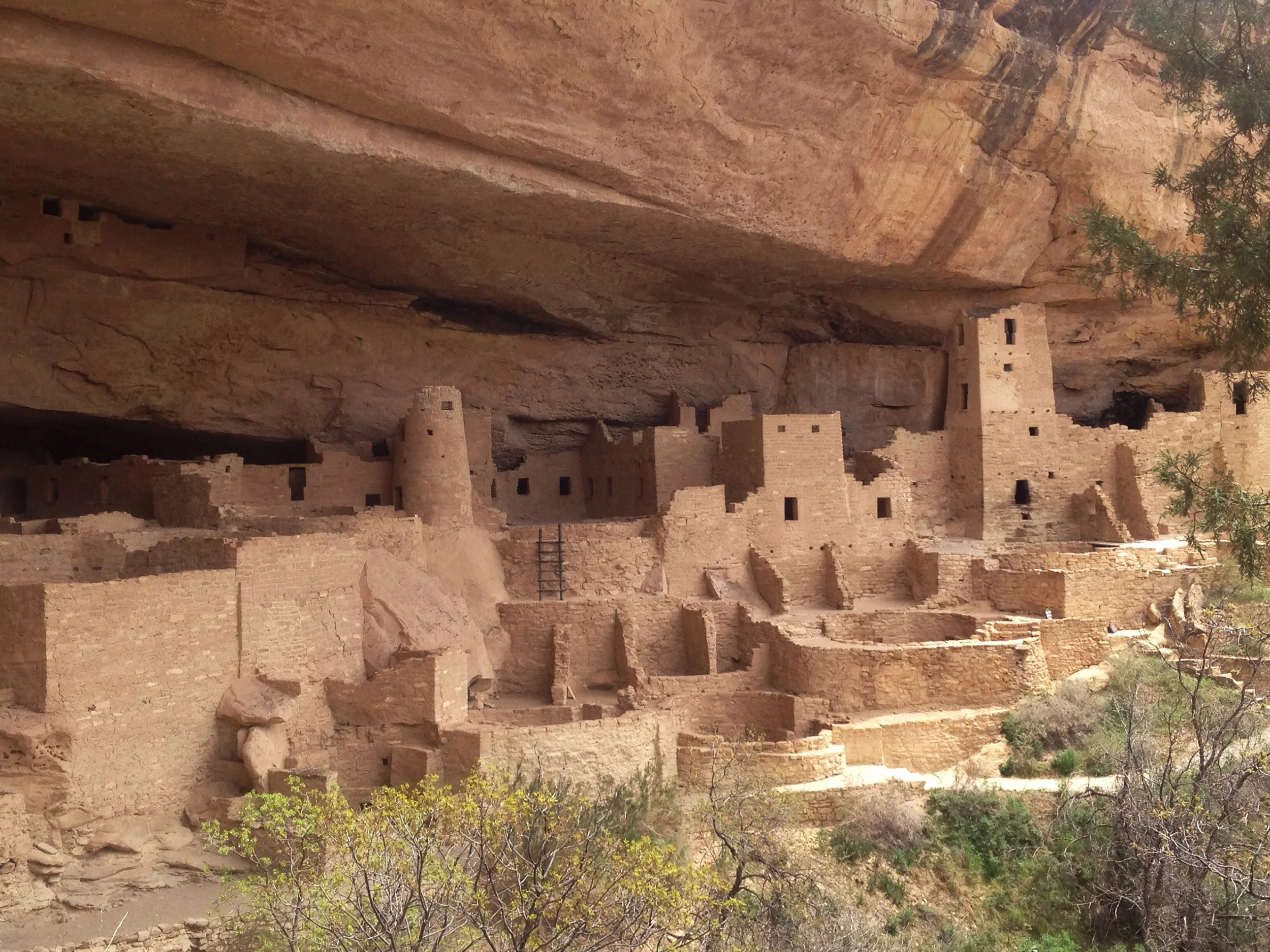 MesaVerde1.jpg
