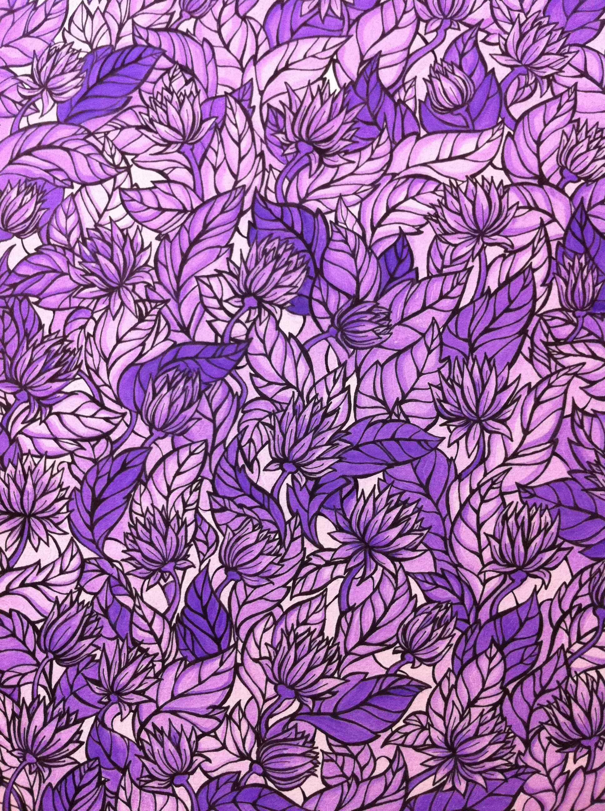 purple2.JPG