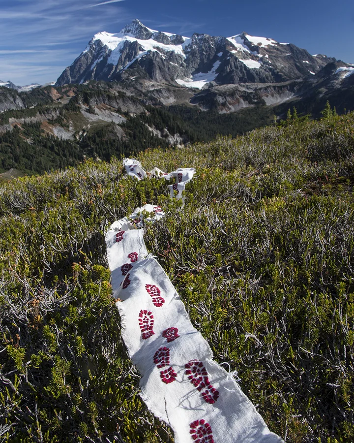 feetsShuksan3_100.jpg