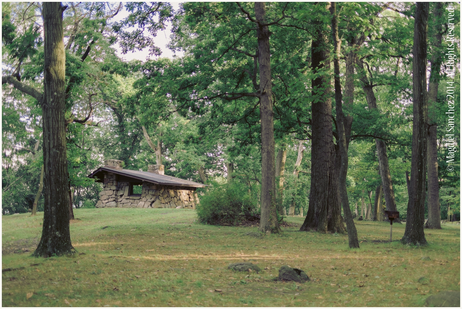 Tallman_Park_Patty&Darien-18.jpg