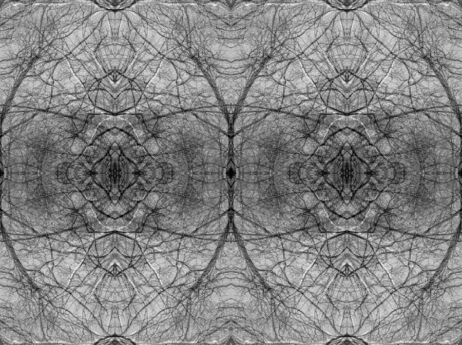 Duality