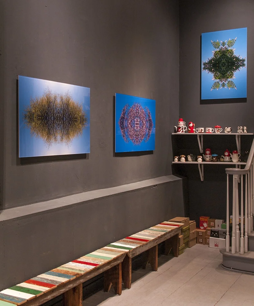 Three works at Grumpy Bert in Brooklyn