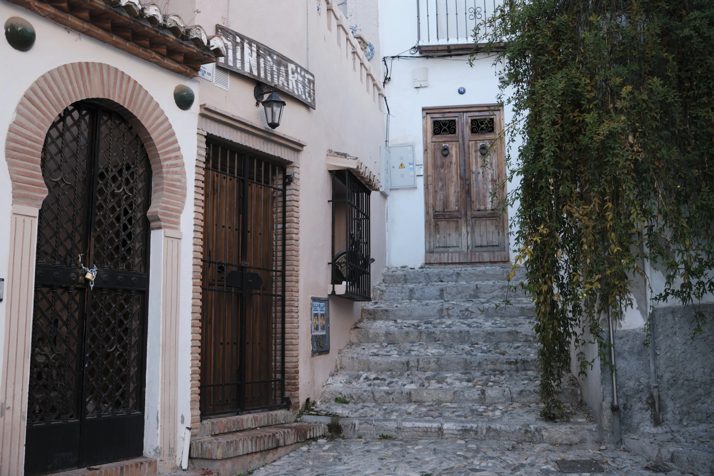 DSCF0167.jpg