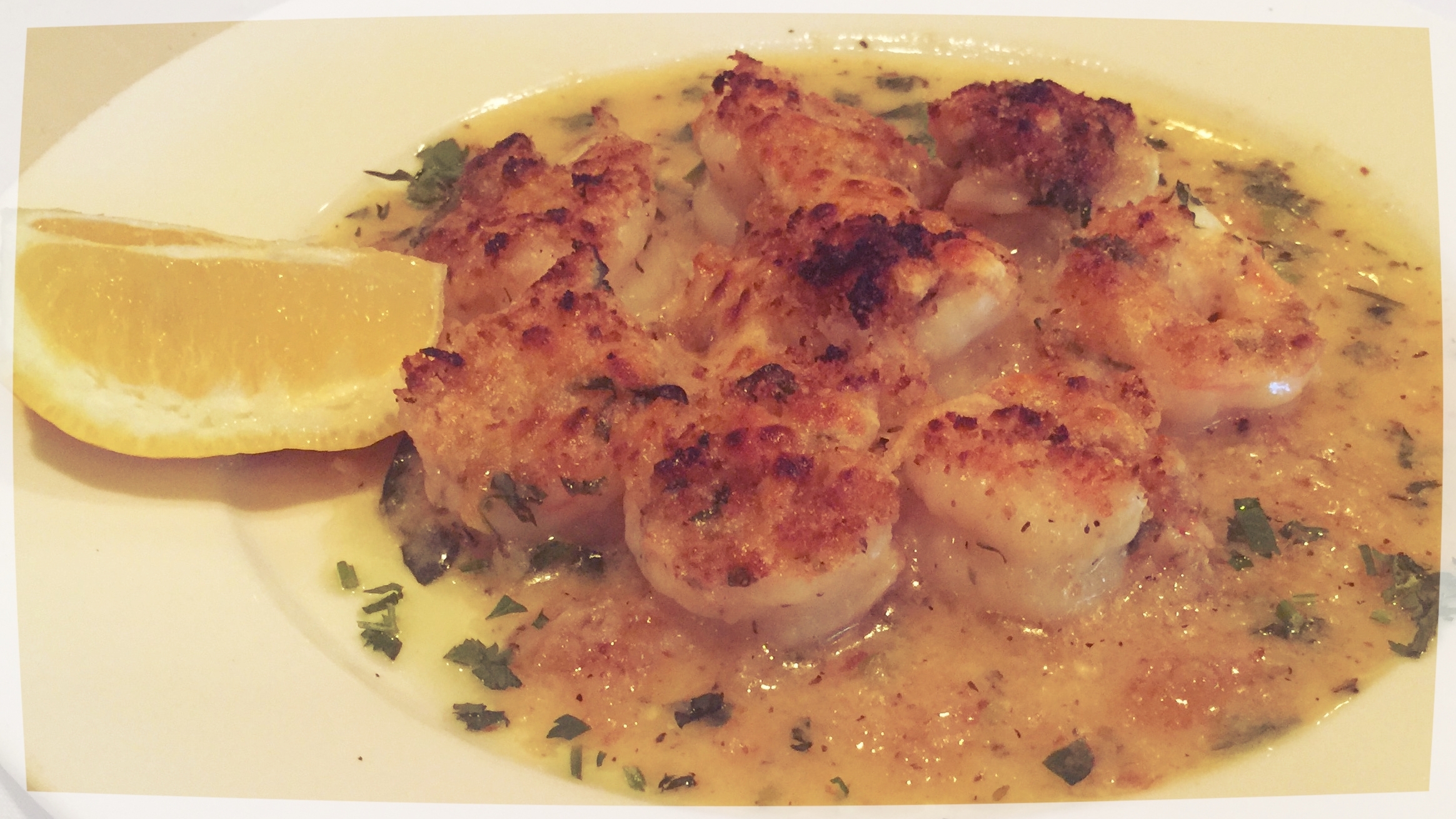 STEVE'S PICCOLA BUSSOLA