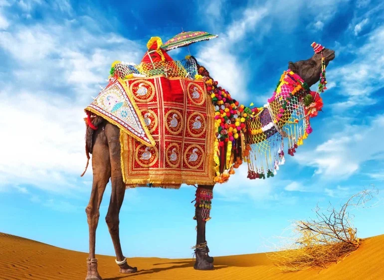 India: Kundalini Yoga Teacher Training Immersion