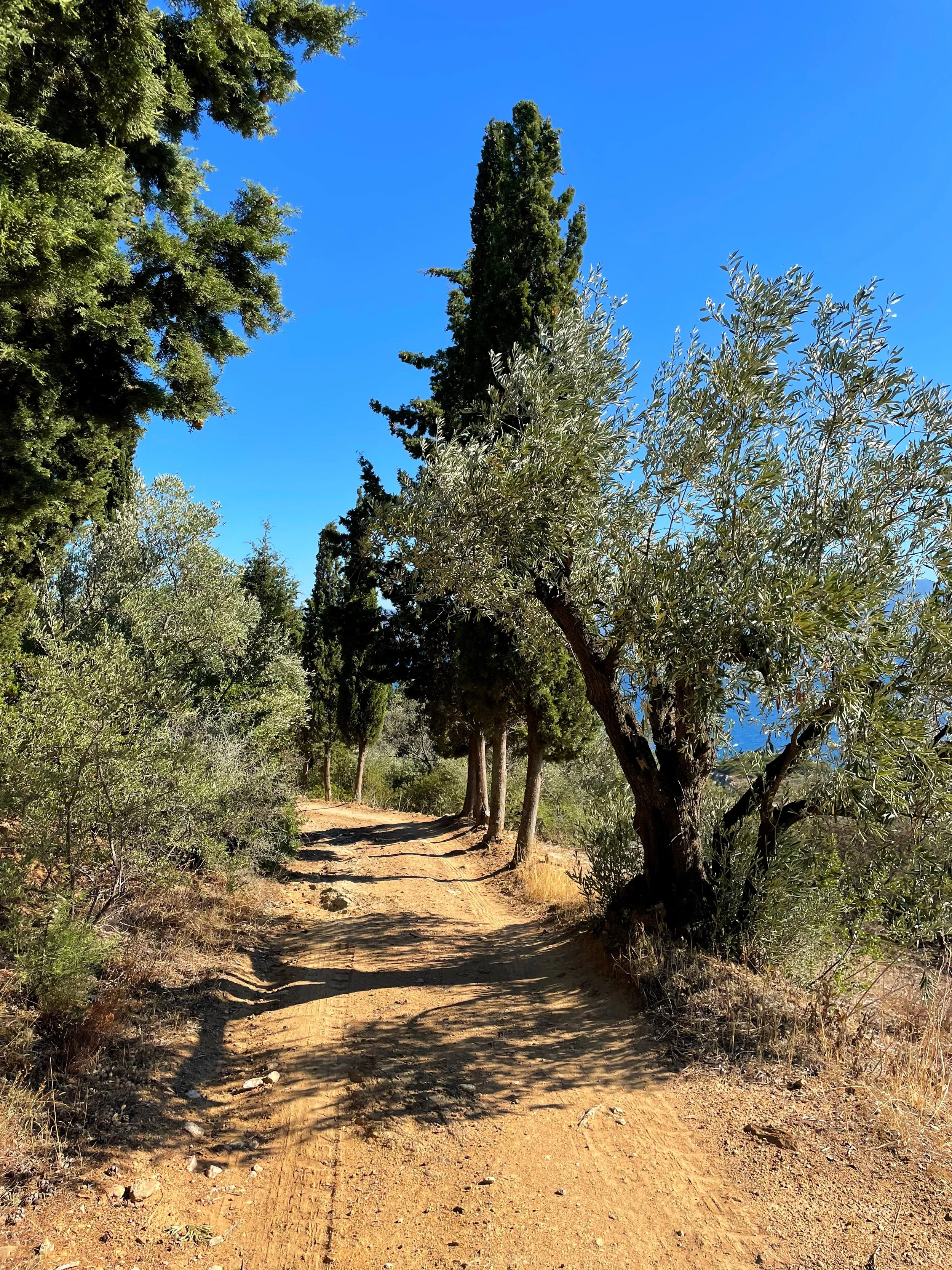 Balance Heart and Mind - Retreat in Greece 