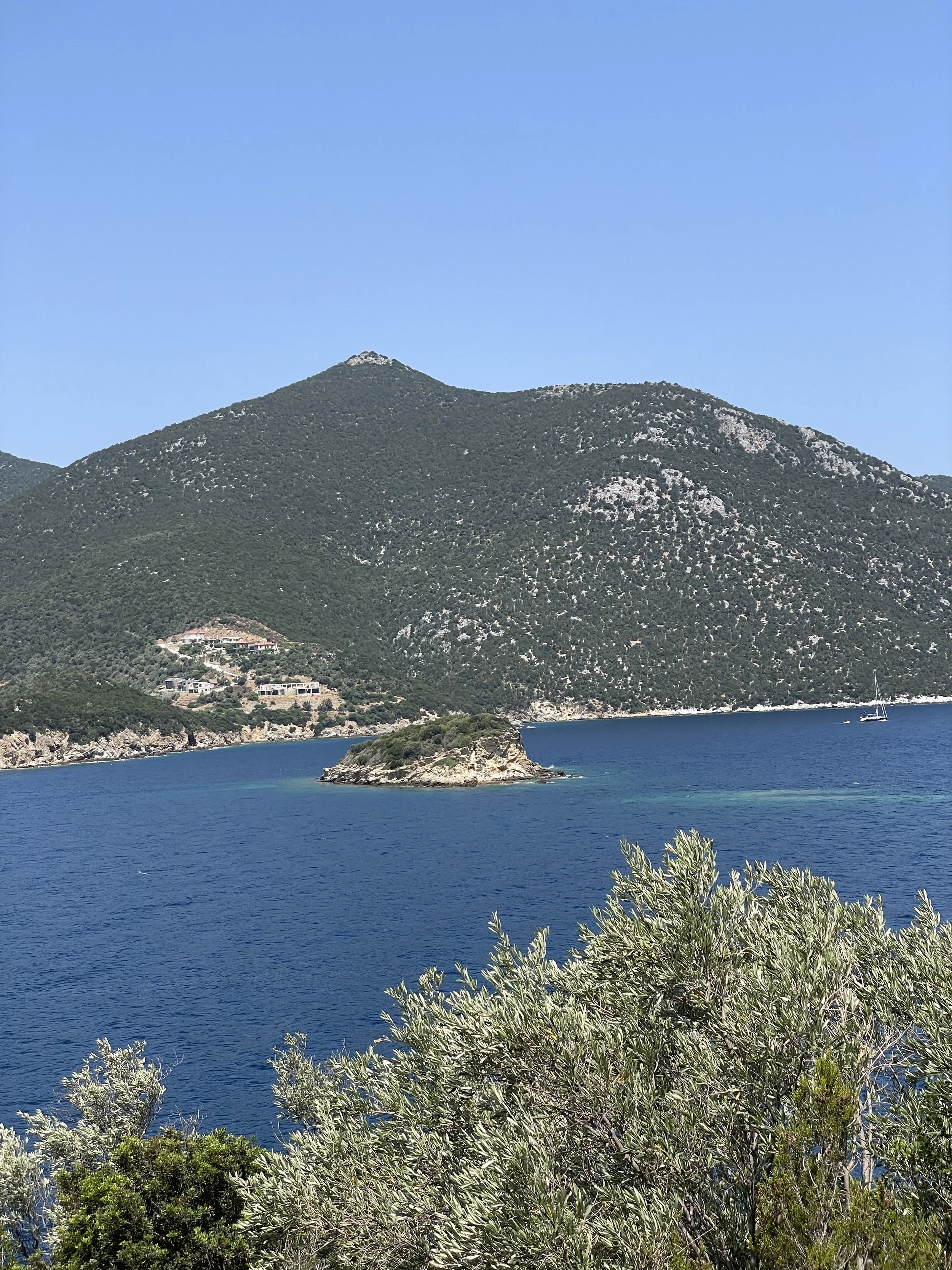 Radiance, Joy, and Vitality