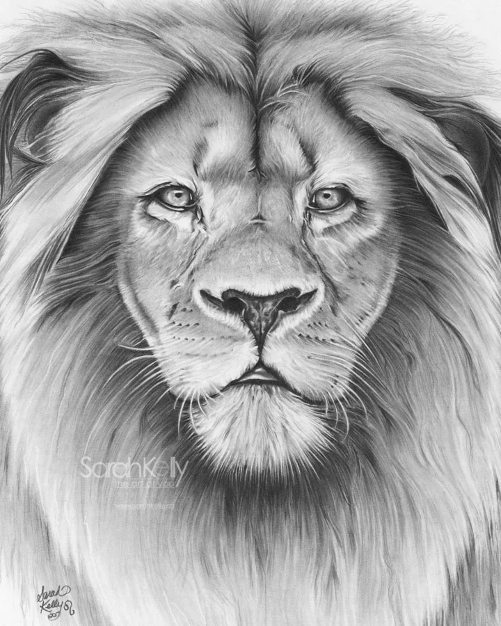 sarahkelly_pencil_portrait_drawings_035.jpg