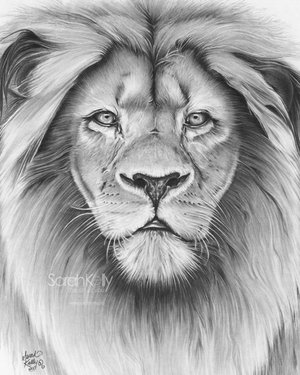 Pencil Artist & Photographer | Custom Commissioned pencil drawings from ...