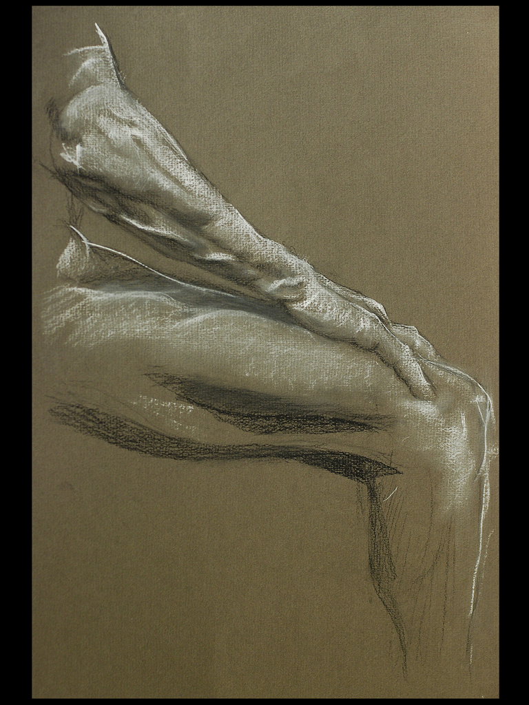 25 Figure - Arm and Leg.jpg