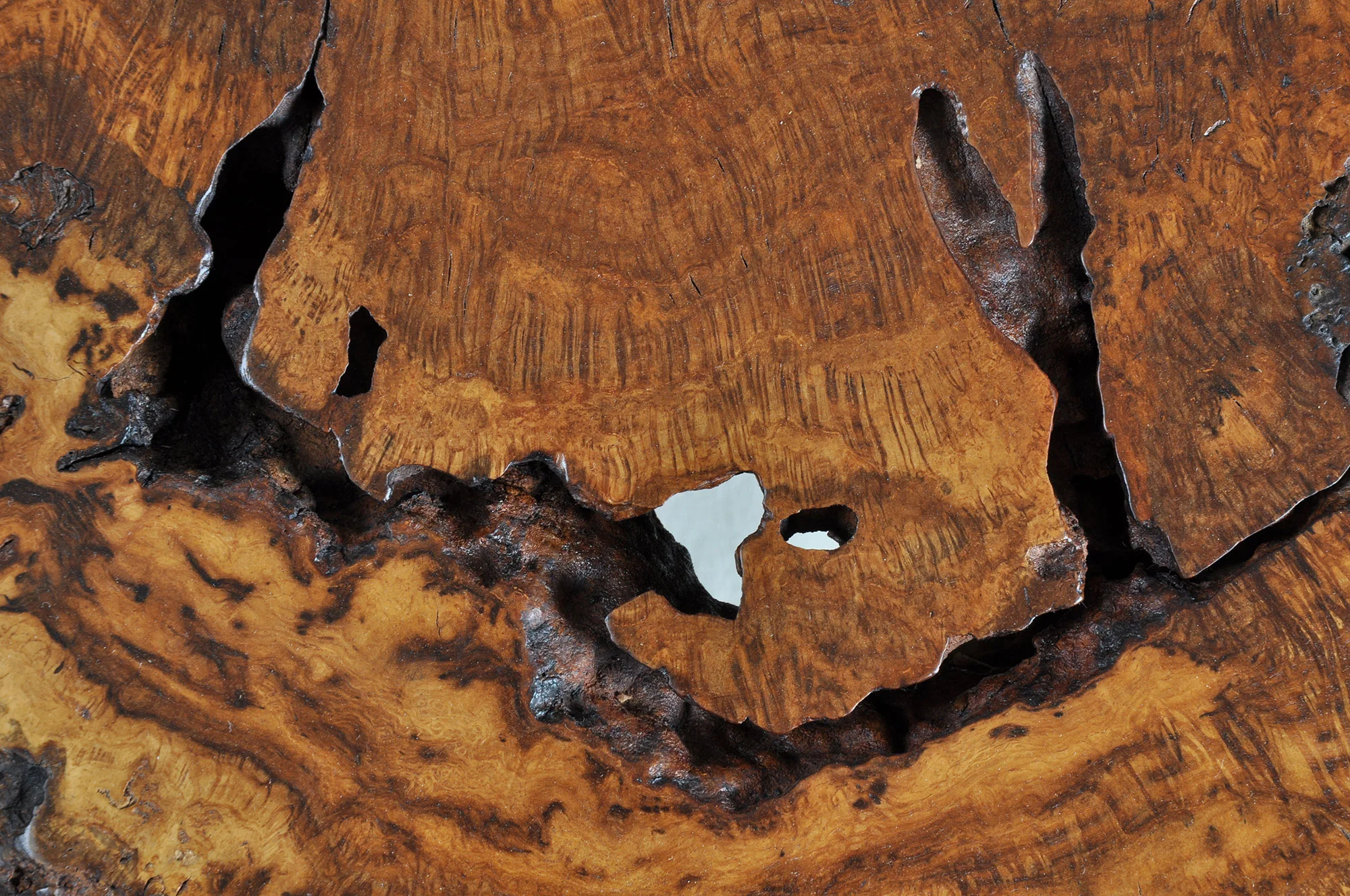 366-Saturn-Base-slab-Burr-Oak-&-Bronze-Table-Detail-11.jpg