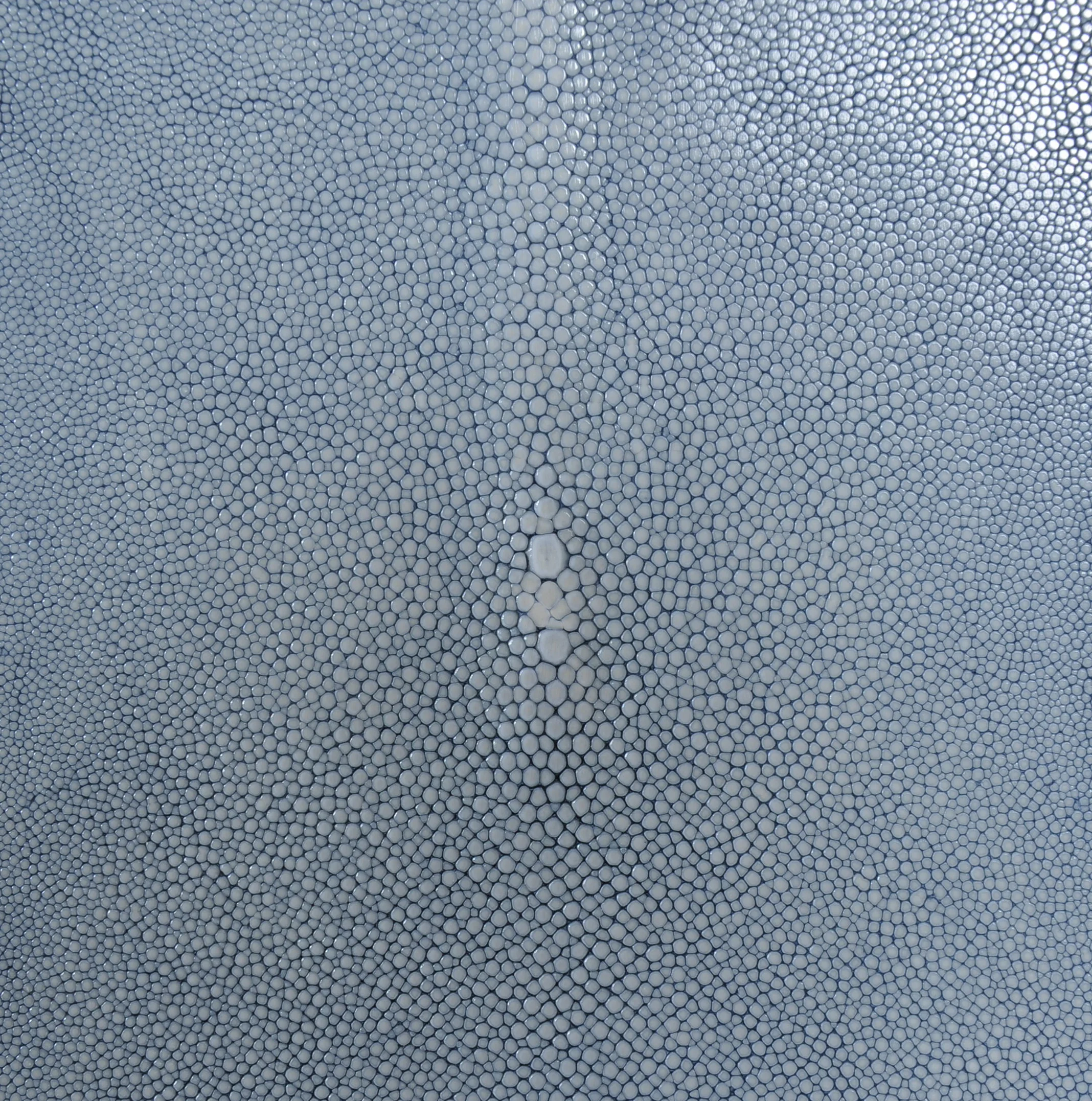 Blue shagreen detail.jpg