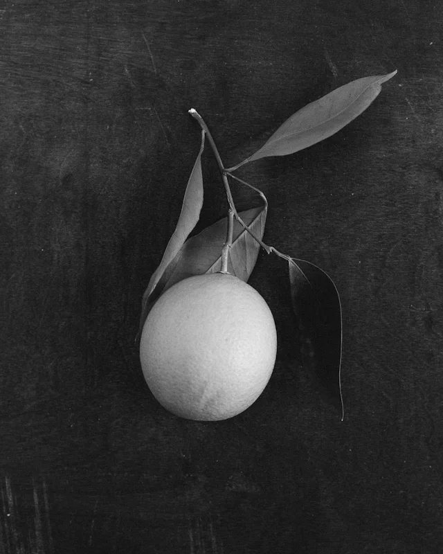 Orange Noir - a digital download from Arrow & Apple!.jpg