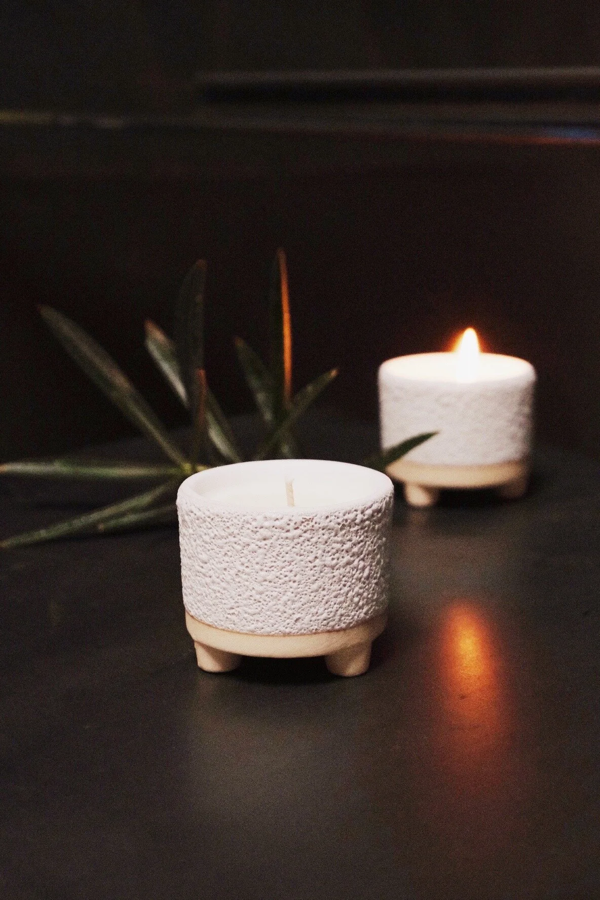 Ronan's Wild Winter Orchard Candle