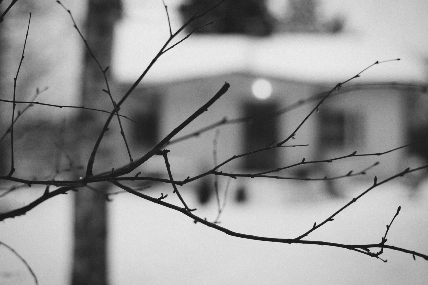 _U0C0050_tuukka_virkkila_kortti3__exp2_mv.jpg