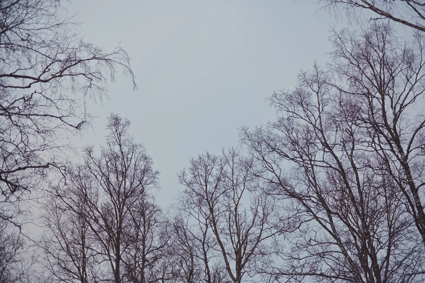 _U0C0151_tuukka_virkkila_kortti3__exp1.jpg