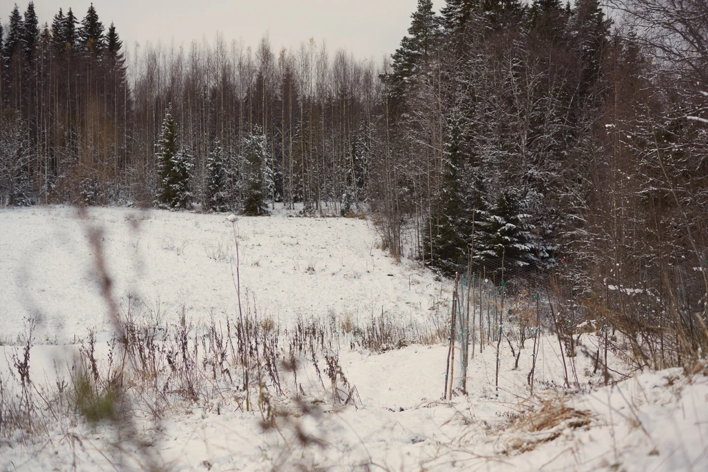 _U0C1126_tuukka_virkkila_kortti2__exp1.jpg