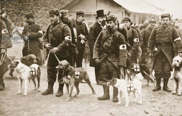 French Red X and canine helpers leaving for the front..jpg