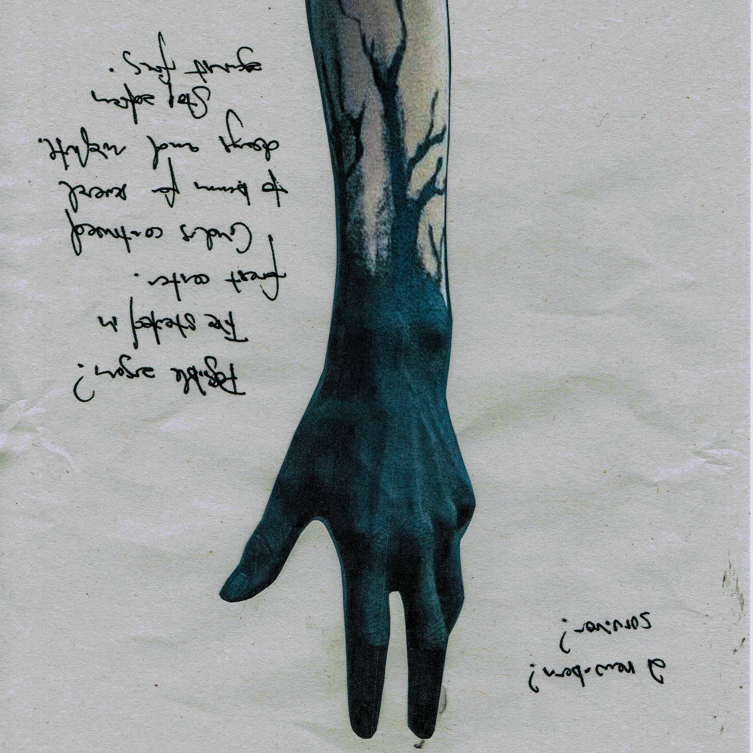 21081405.jpg