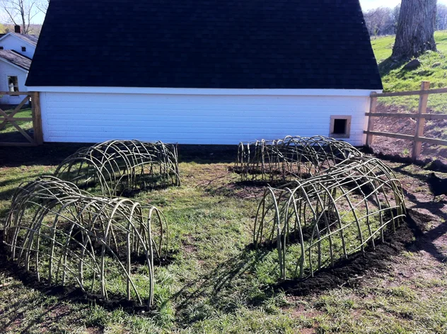 Living Willow chicken tunnels by Don Statham