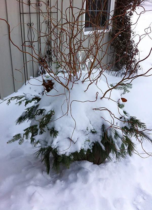 thebranchranch-open51.jpg