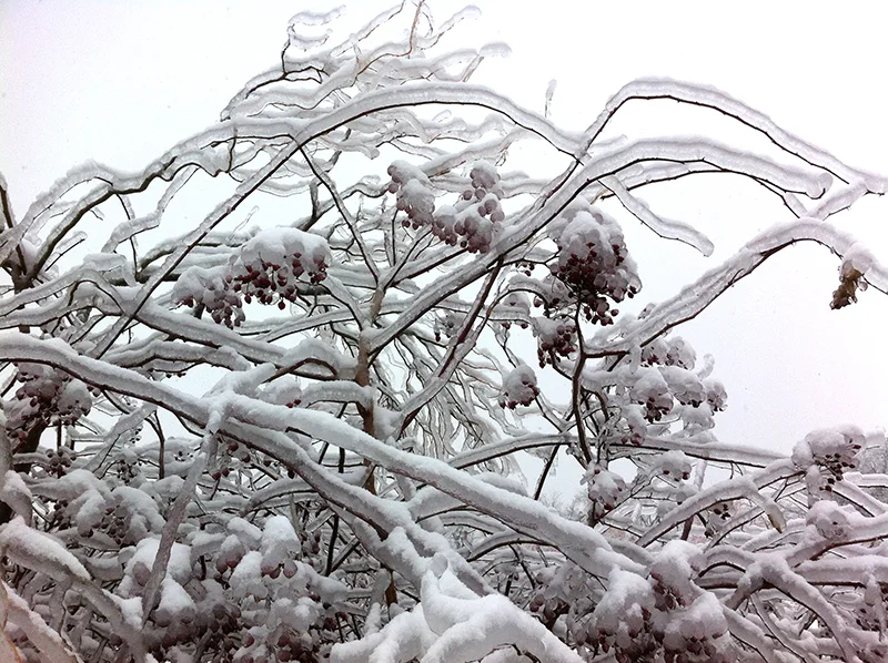 snow6.jpg