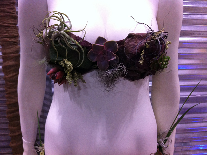 A succulent bikini! Now that's wild!!!